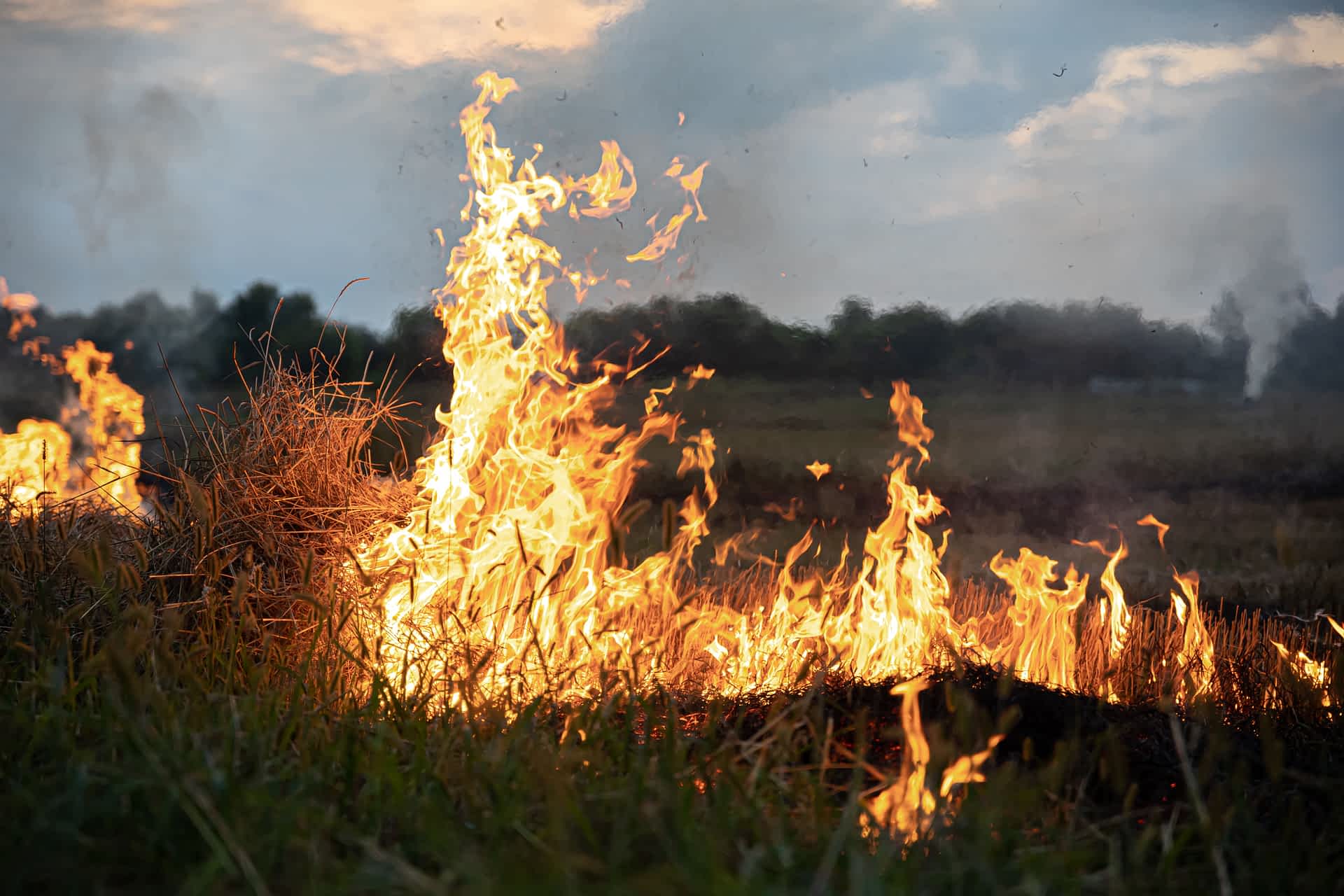 fire mitigation